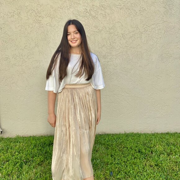 High-Waisted Pleated Midi Skirt Women’s Champagne Metallic Skirt - Picture 1 of 5